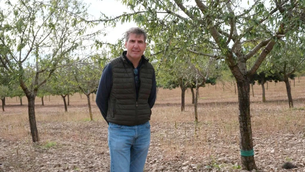 El camp de Mallorca s’ha venut pel que s’hi podia construir i no pel que s’hi pot cultivar