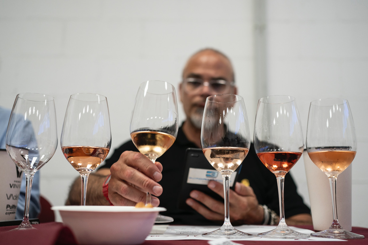Èxit dels vins de les Illes Balears: s’enduen 32 guardons als Premis Vinari